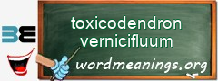 WordMeaning blackboard for toxicodendron vernicifluum